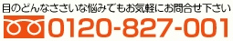 目のどんな些細なお悩みでもお気軽にお問い合わせ下さい。0120-827-001