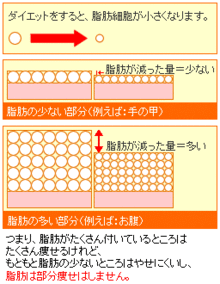 レーシック眼科の給湯室-脂肪細胞