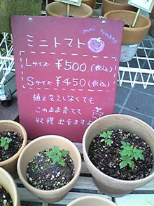 レーシック眼科の給湯室-Image159.jpg