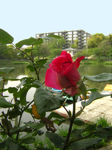 レーシック眼科の給湯室